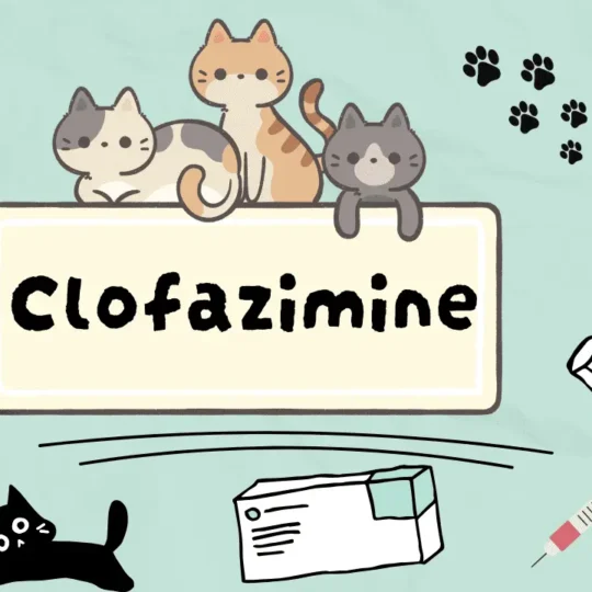 كلوفازيمين للقطط