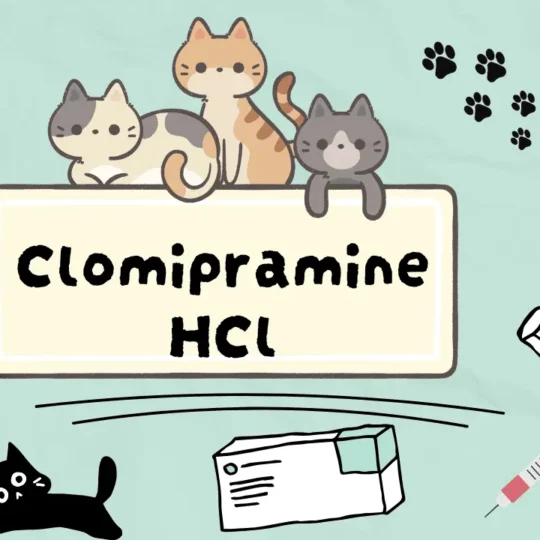 كلوميبرامين هيدروكلورايد للقطط