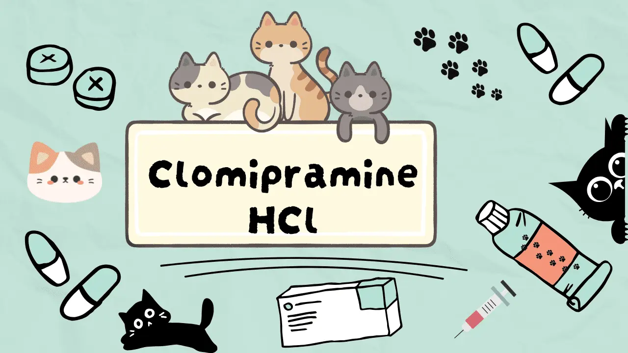 كلوميبرامين هيدروكلورايد للقطط