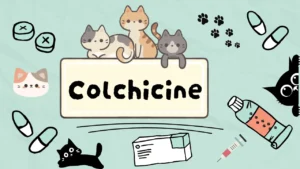 الكودايين للقطط