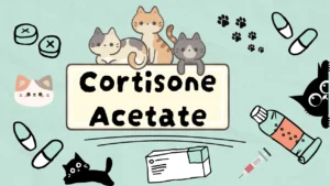 كورتيزون أسيتات للقطط