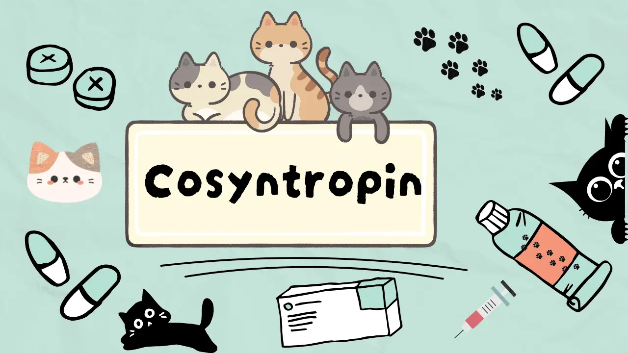 كوسينتروبين دواء لفحص وظائف الغدة الكظرية للقطط