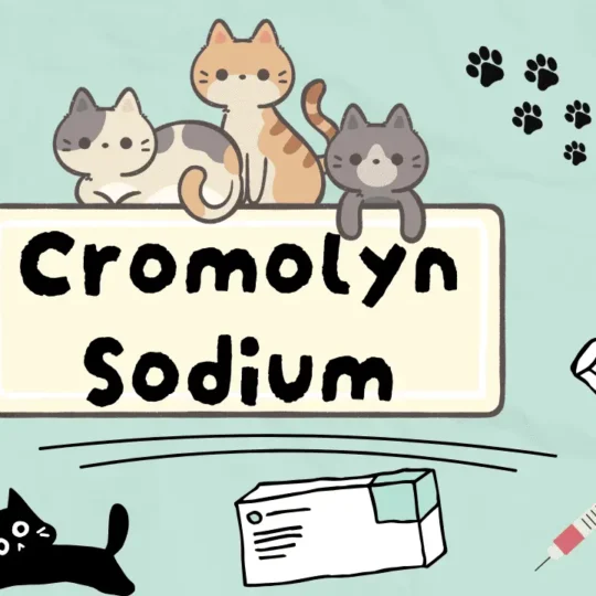 كرومولين صوديوم دواء لعلاج الحساسية والربو والالتهابات التحسسية لعين وأنف القطط