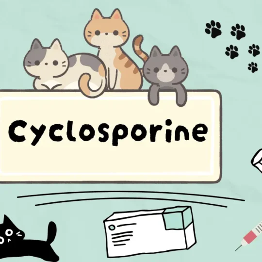 سيكلوسبورين أهم الأدوية المناعية المستخدمة في الطب البيطري