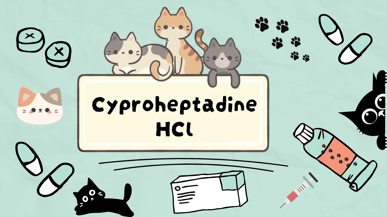 فاتح شهية للقطط