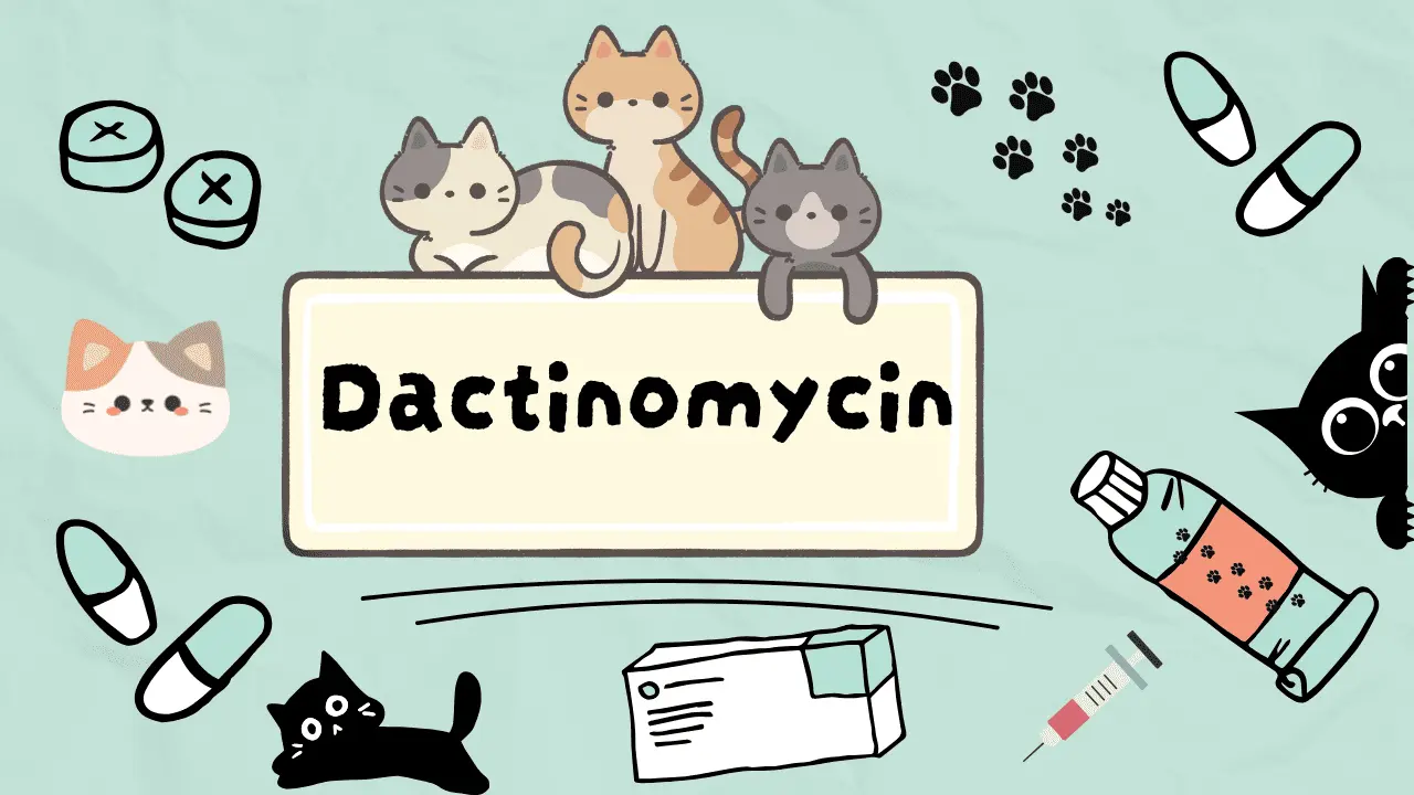 دواء كيميائي مضاد لسرطان القطط