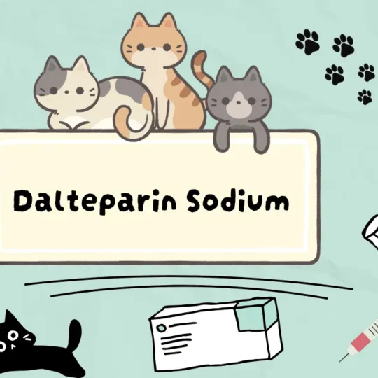 دواء للقطط المصابة بأمراض القلب