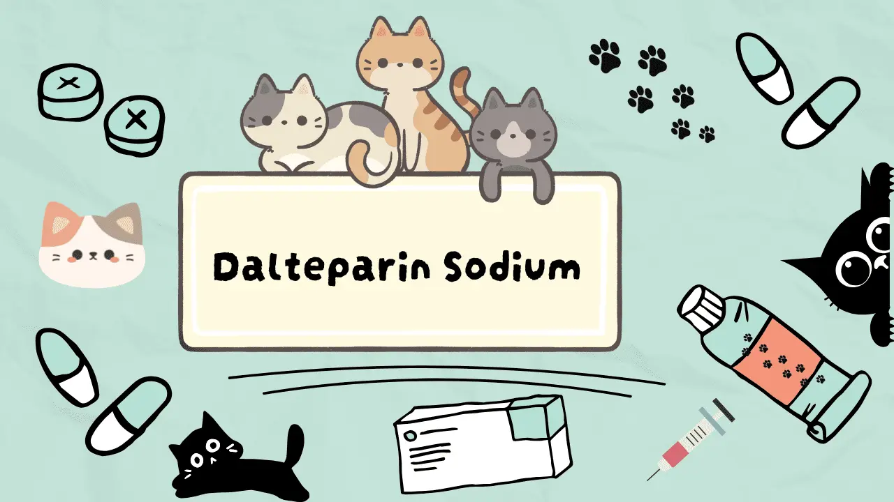 دواء للقطط المصابة بأمراض القلب