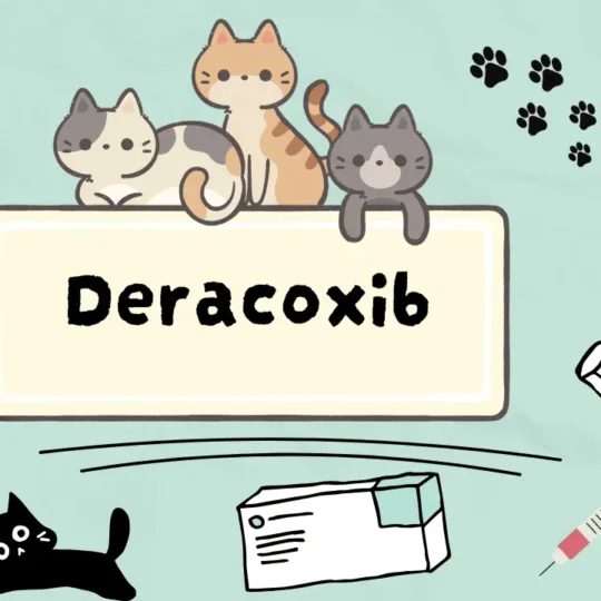 ديراكوكسـيب للقطط