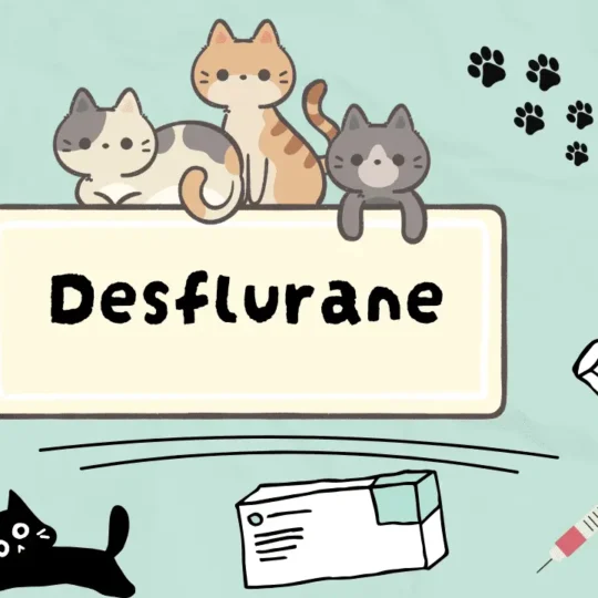 ديسفلوران للقطط