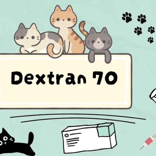 ديكستران للقطط