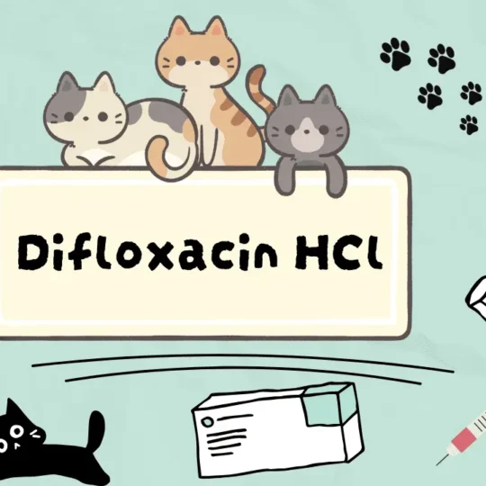 ديفلوكساسين للقطط