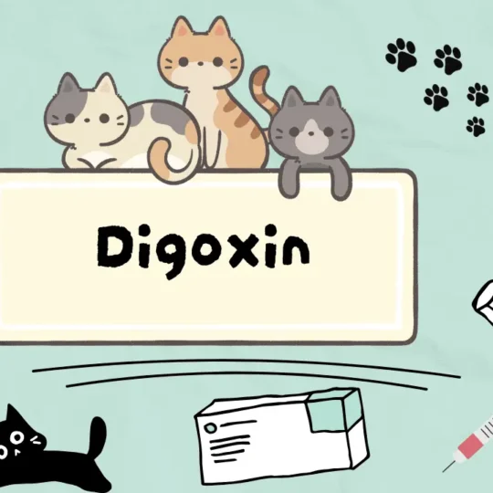 الديجوكسين