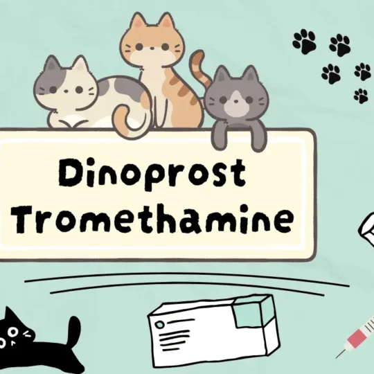 دينوبروست تروميثامين للقطط
