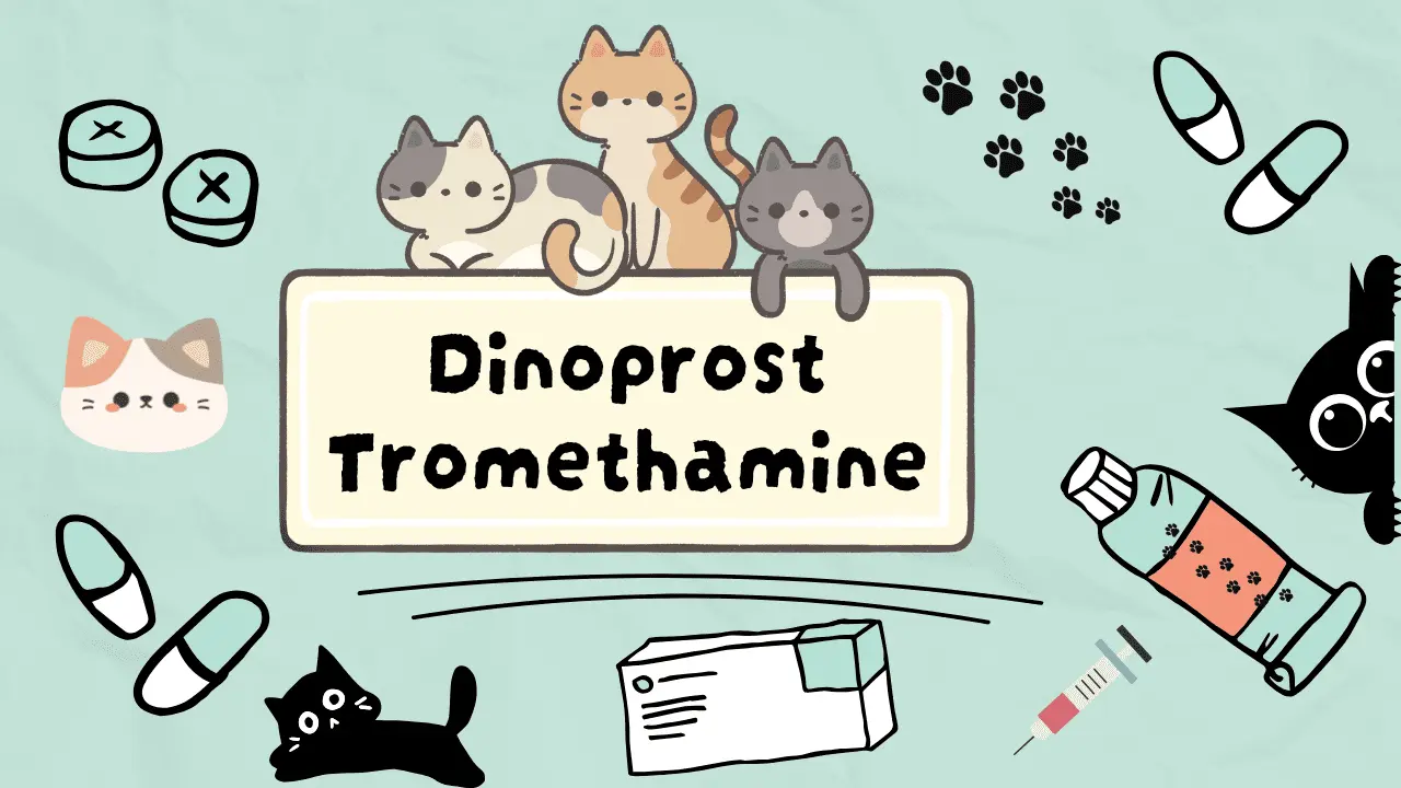 دينوبروست تروميثامين للقطط