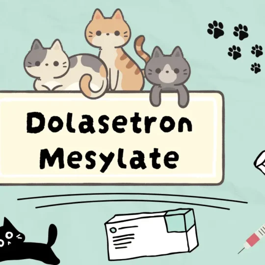 دولاسيترون ميسيليت للقطط