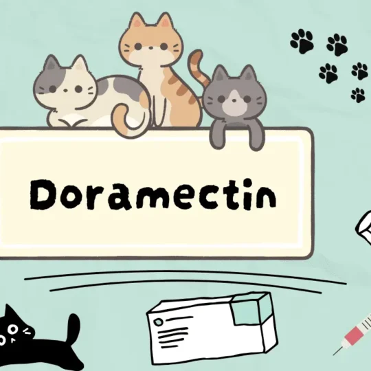 دورامكتين للقطط