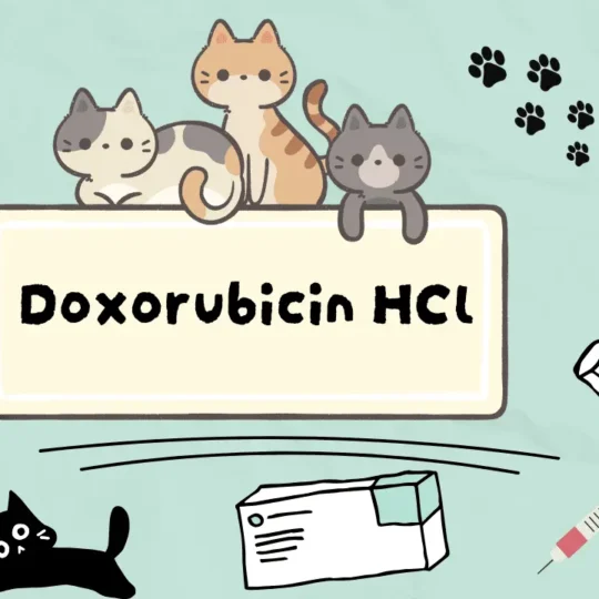 دواء لعلاج السرطان في القطط