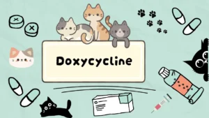 دواء دوكسيسيكلين للقطط