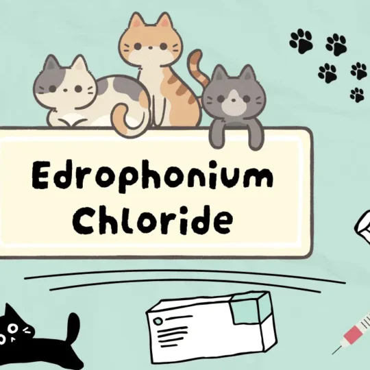 إدروفونيوم كلورايد للقطط