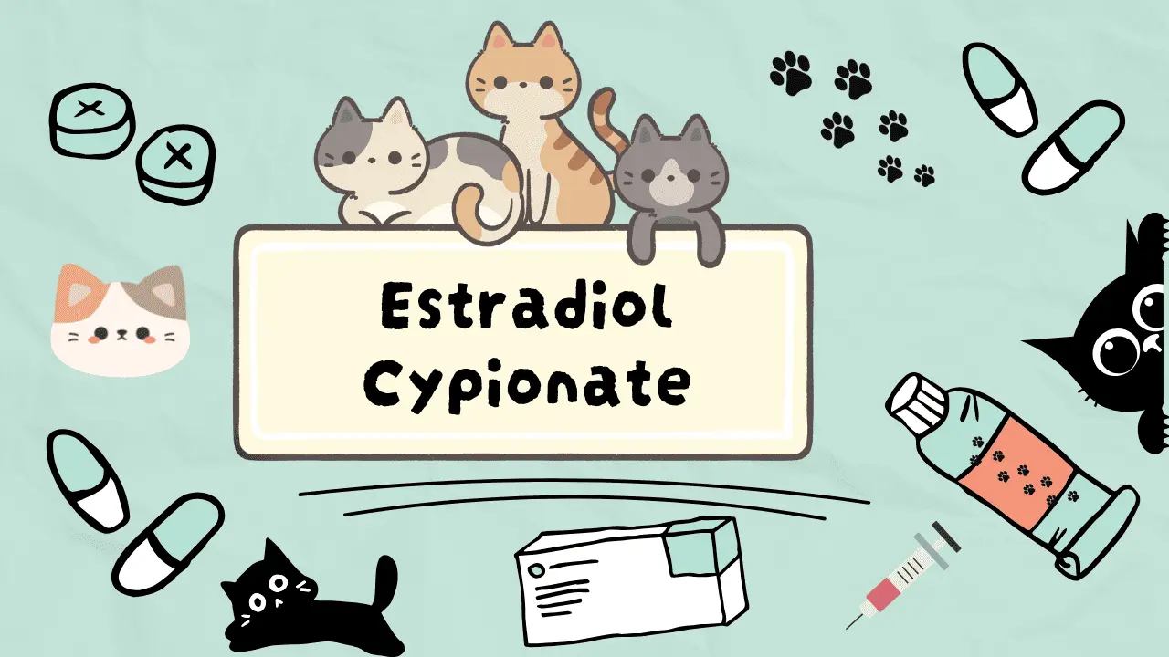 استراديول سيبيونيت