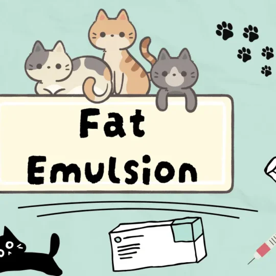 المستحلبات الدهنية للقطط