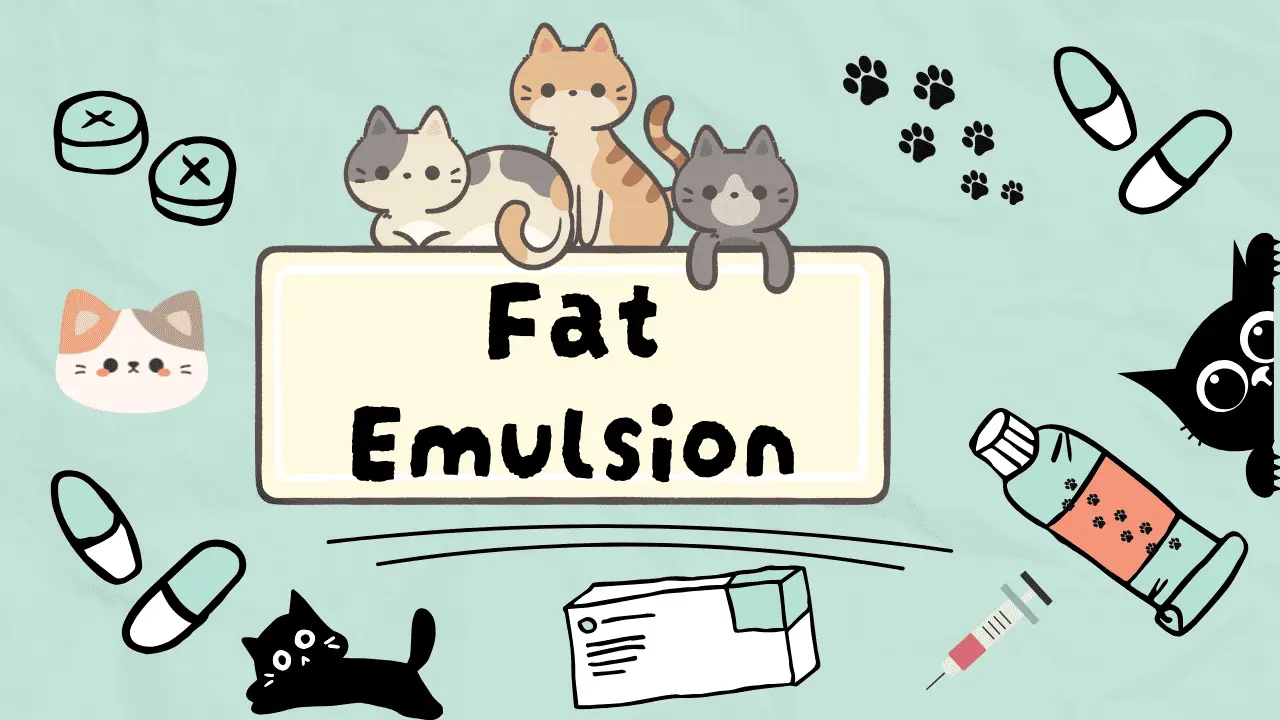 المستحلبات الدهنية للقطط