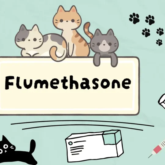 فلوميثازون للقطط