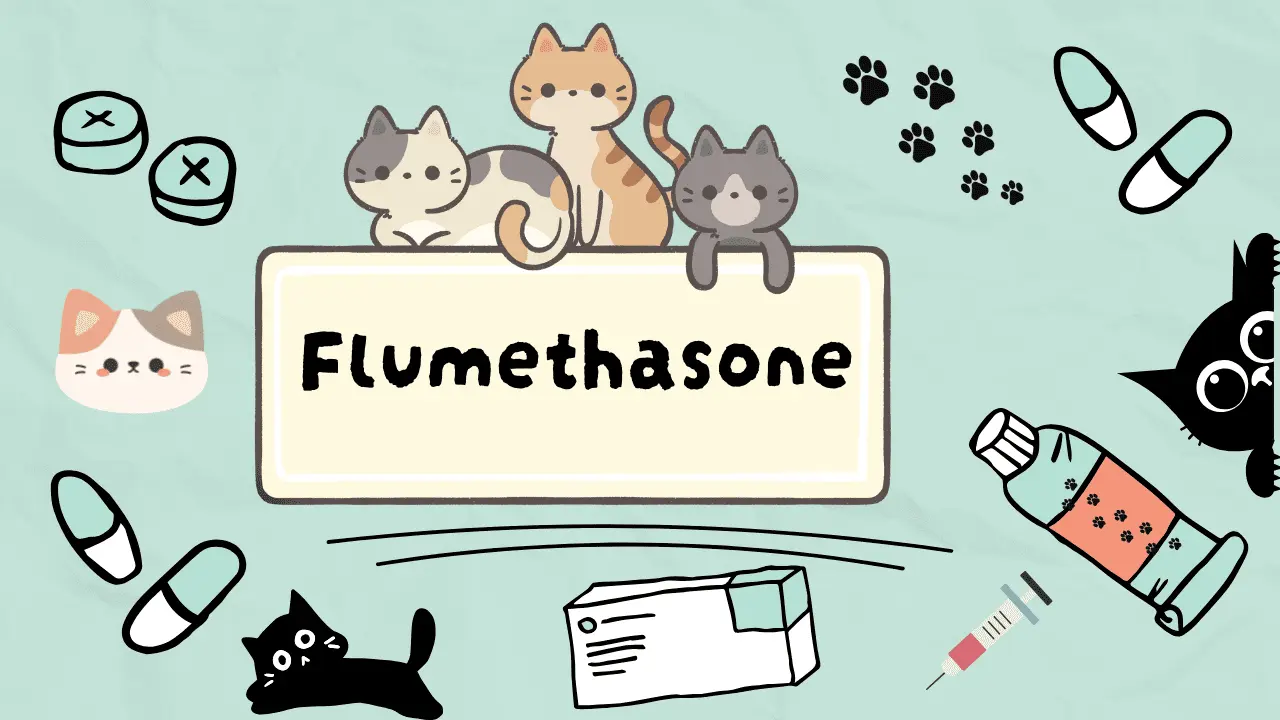 فلوميثازون للقطط