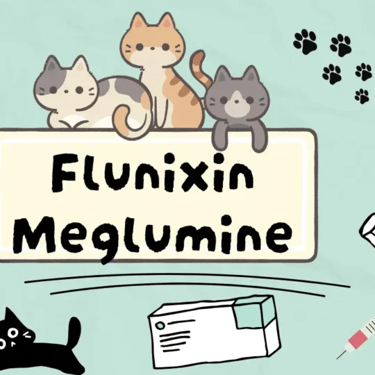 فلونغسين ميغلومين للقطط