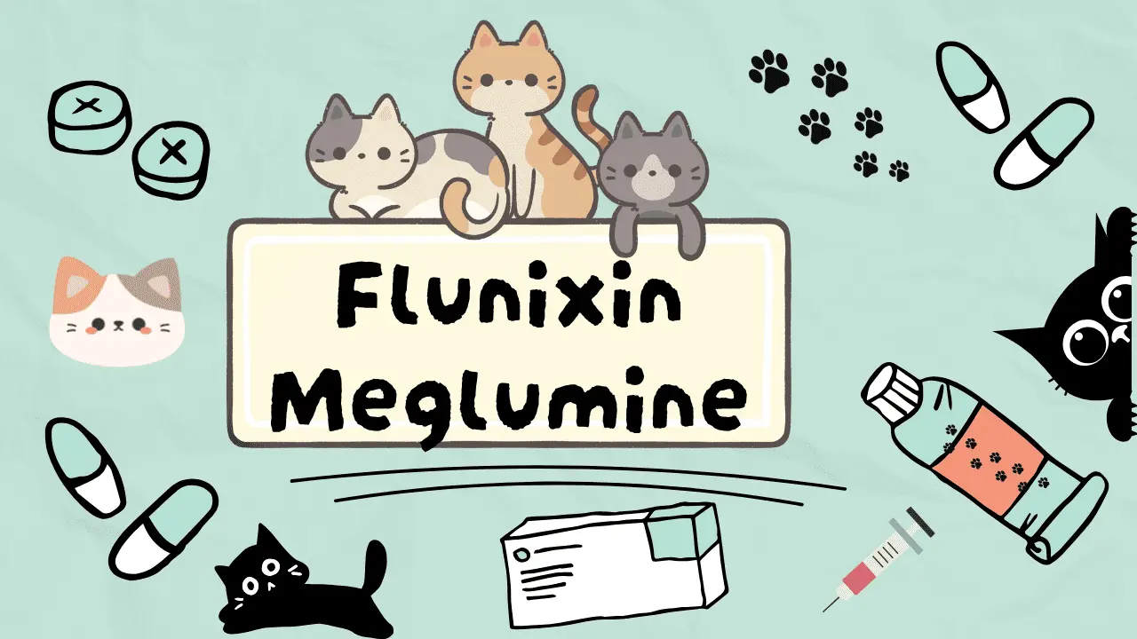 فلونغسين ميغلومين للقطط