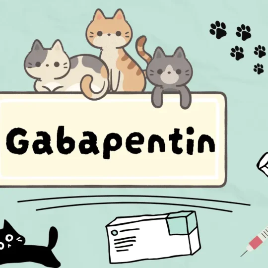 غابابنتين للقطط