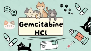 جيمسيتابين هيدروكلوريد للقطط