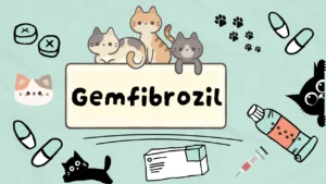 جيمفبروزيل للقطط