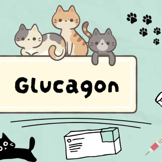 الغلوكاغون للقطط