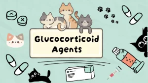 الأدوية الجلوكوكورتيكويدية للقطط