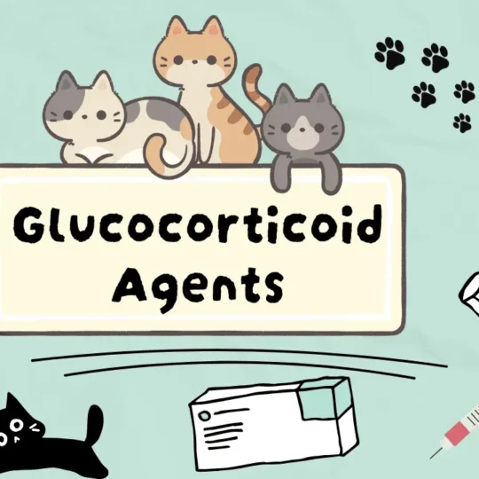 الأدوية الجلوكوكورتيكويدية للقطط
