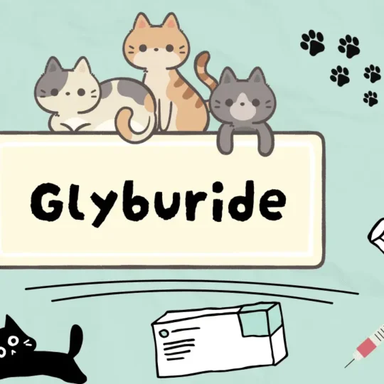 كليبوريد للقطط