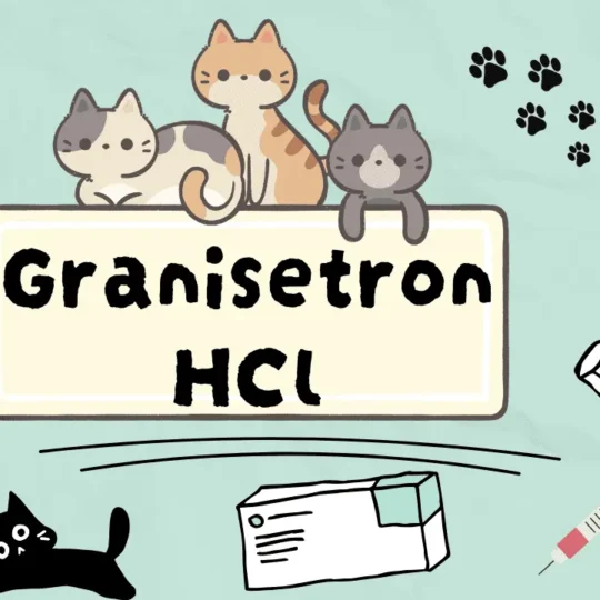 غرانيسيترون هيدروكلوريد للقطط