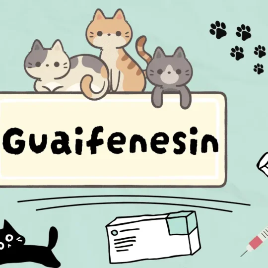 غوايفينيسين للقطط