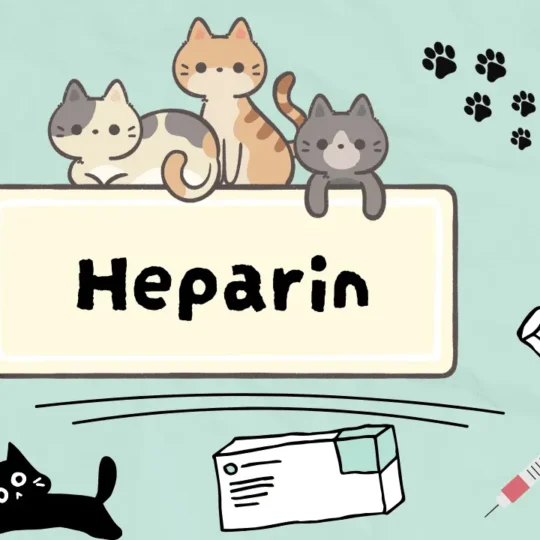 الهيبارين للقطط