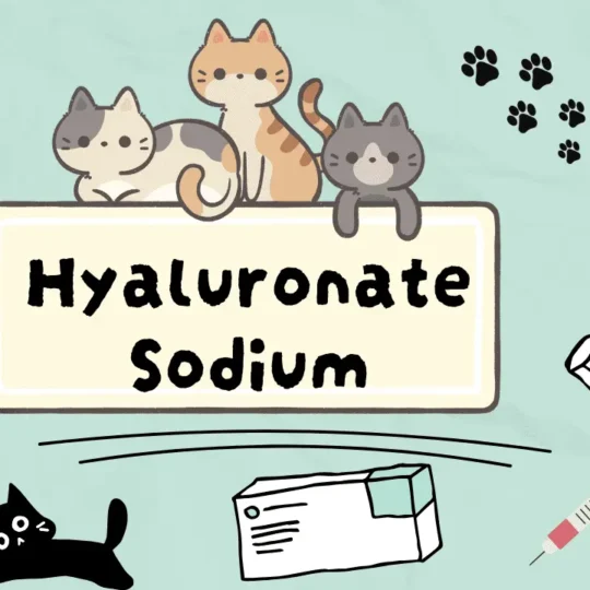 هيالورونات الصوديوم للقطط