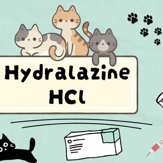 هيدرالازين هيدروكلوريد للقطط