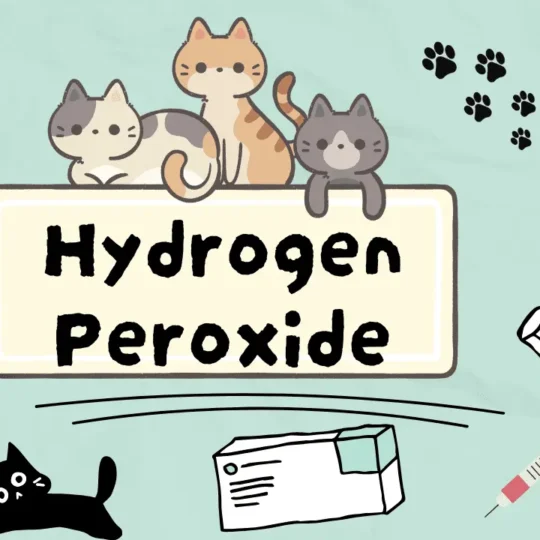 بيروكسيد الهيدروجين للقطط