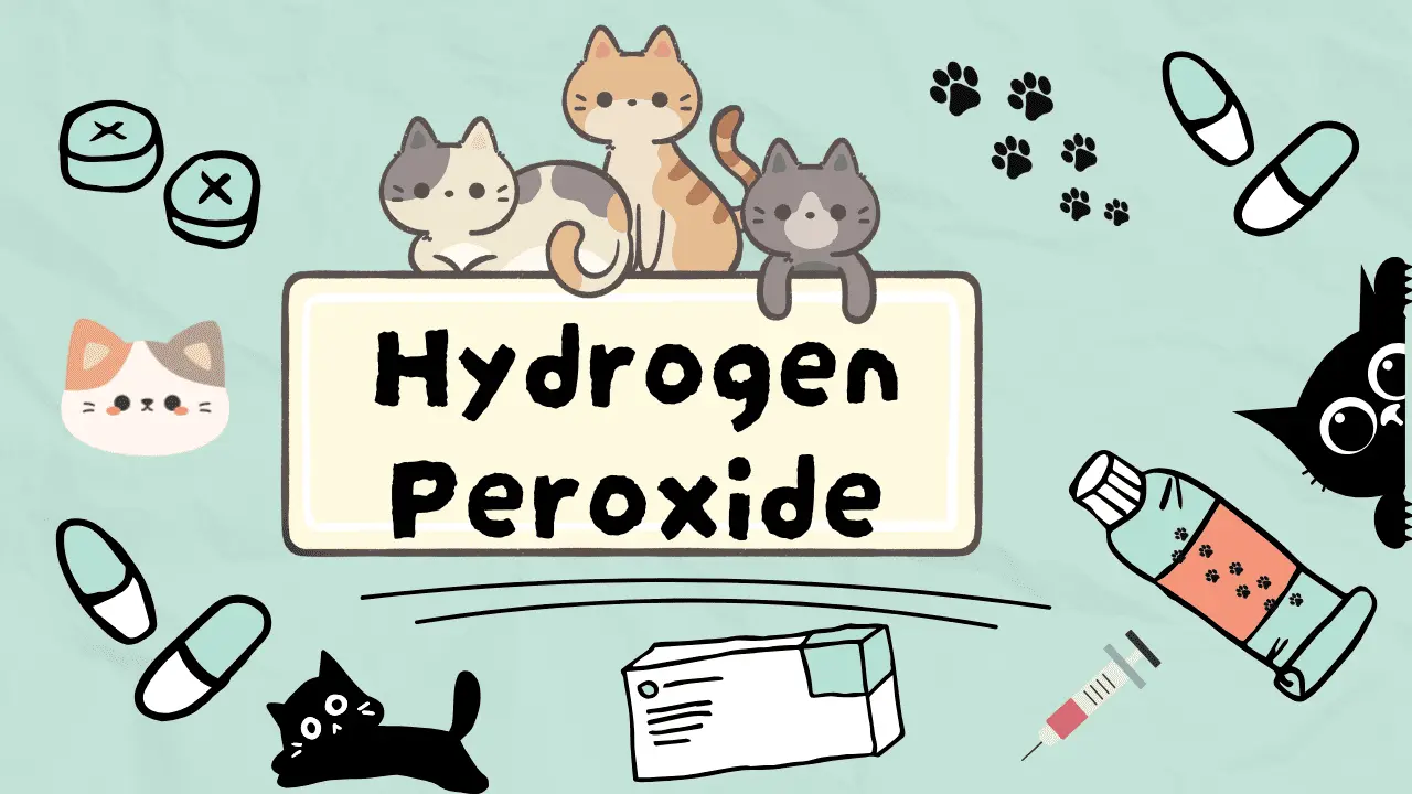بيروكسيد الهيدروجين للقطط