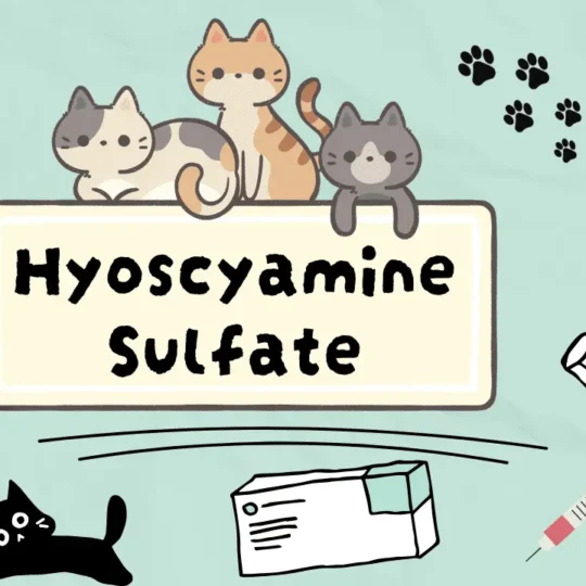 سلفات الهيوسيامين للقطط