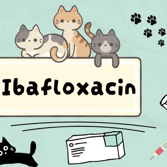 إيبافلوكساسين للقطط