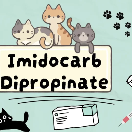 إيميدوكارب ديبروبيونات للقطط