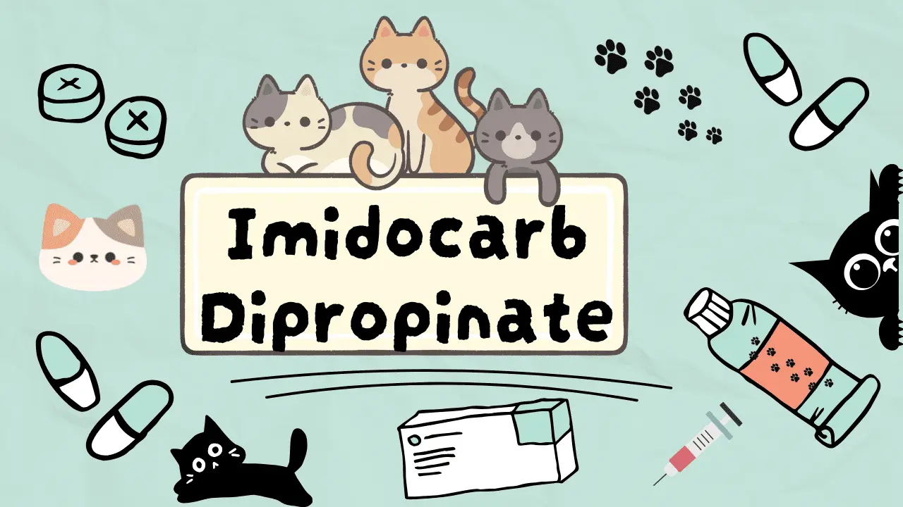 إيميدوكارب ديبروبيونات للقطط