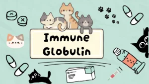 الغلوبولين المناعي للقطط
